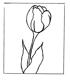 outline tulip